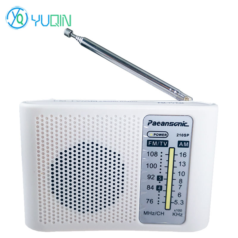210SP AM/FM Radio Kit DIY Elec - Diy Electronics Projects For Adults review and price